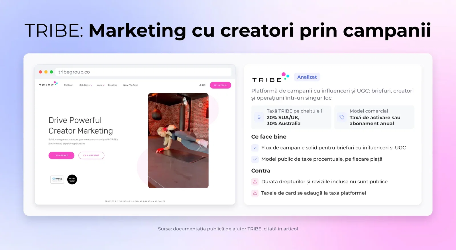 TRIBE: Marketing cu creatori prin campanii