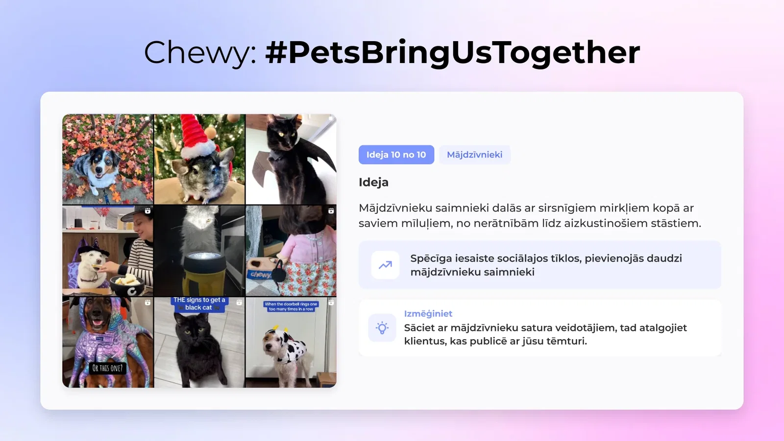 10. Chewy: #PetsBringUsTogether (Dzīvnieki)
