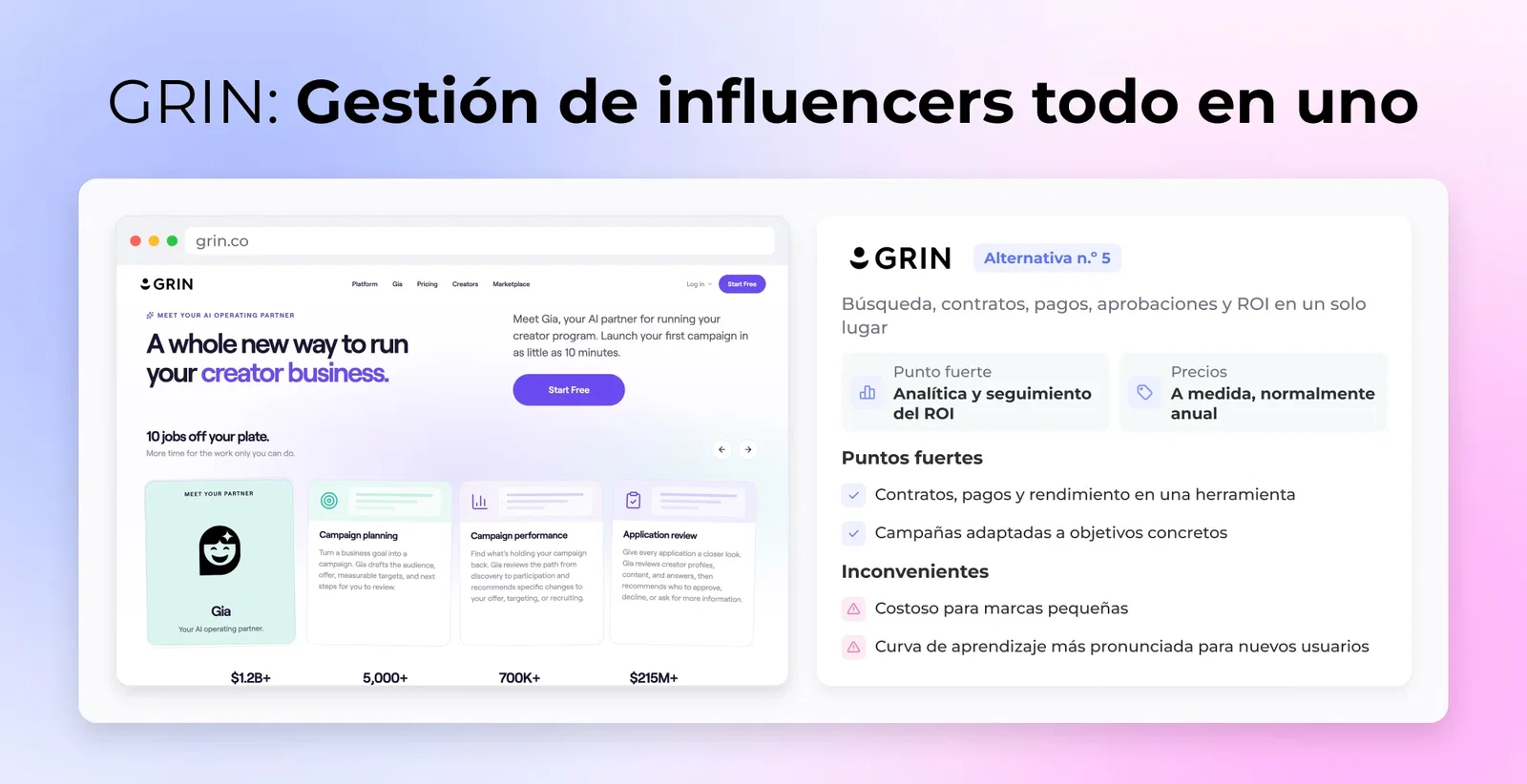 Alternativa #5: GRIN