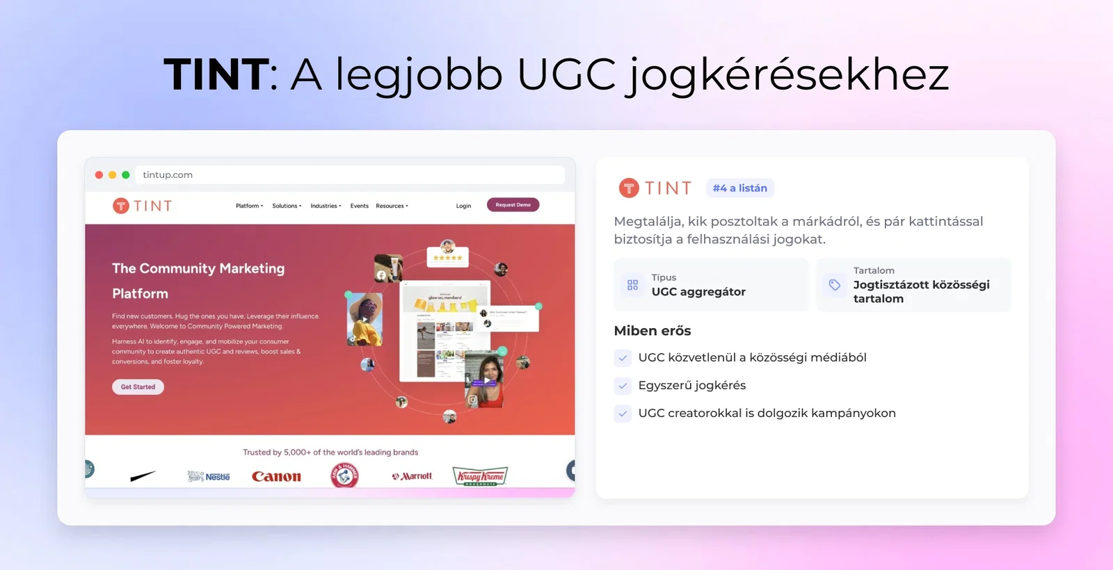 TINT: A legjobb UGC jogkérésekhez