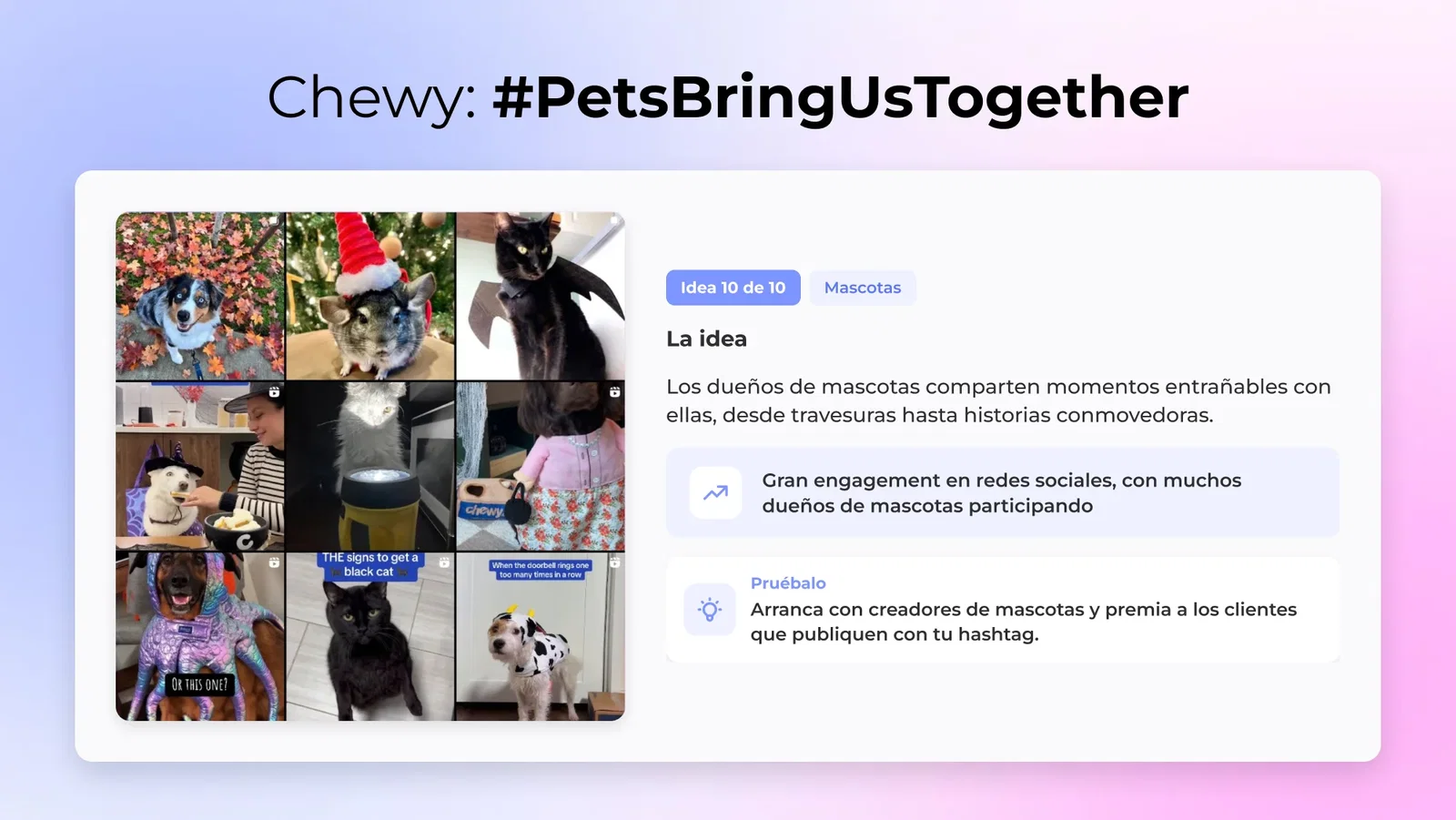 10. Chewy: #PetsBringUsTogether (Mascotas)